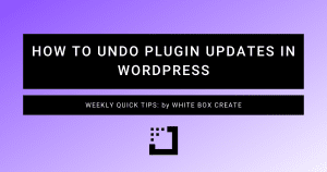 how-to-undo-plugin-updates-in-wordpress