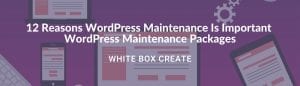 wordpress-maintenance-packages